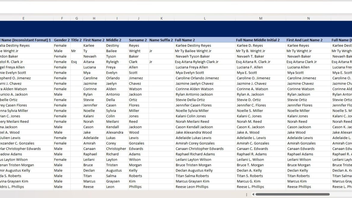 Person Data Randomizer