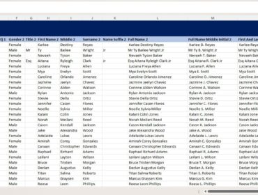 Person Data Randomizer